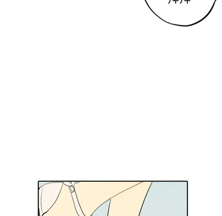 17 第32页