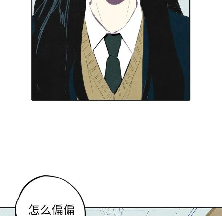 17 第36页