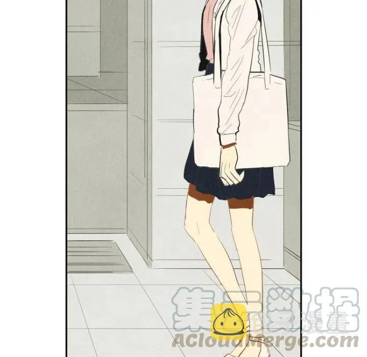 17 第41页