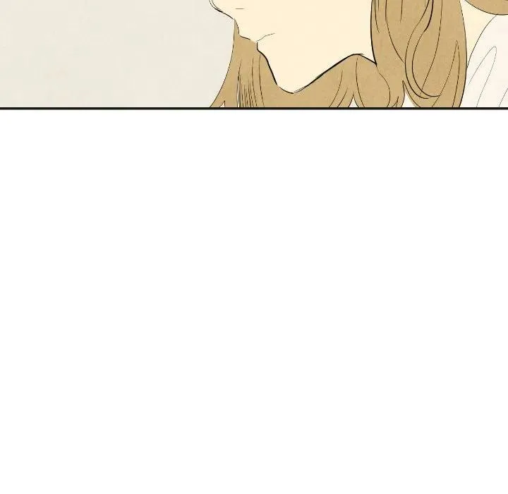 17 第43页