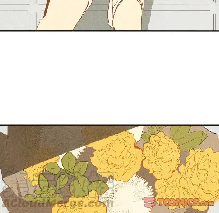 17 第45页