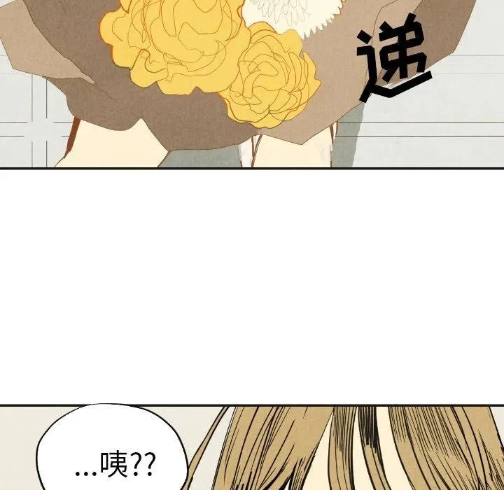 17 第46页