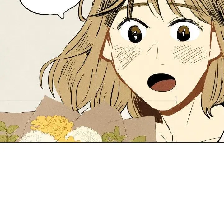 17 第47页