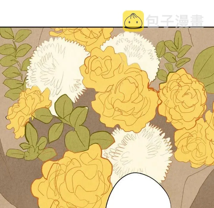 17 第48页