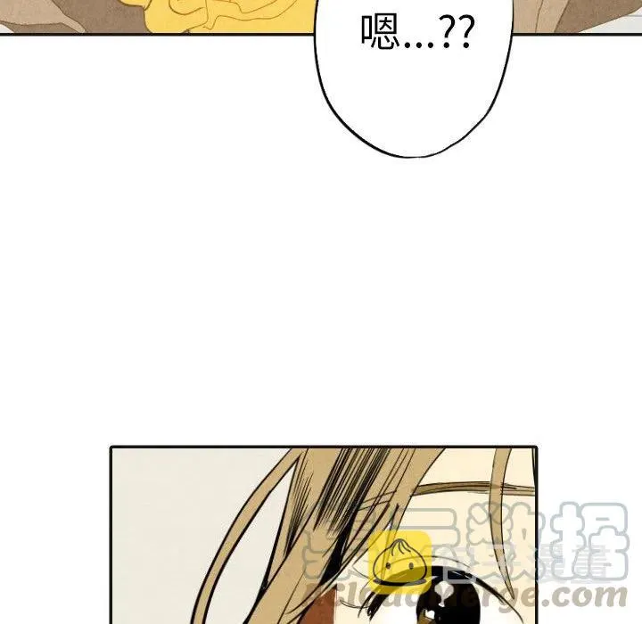 17 第49页