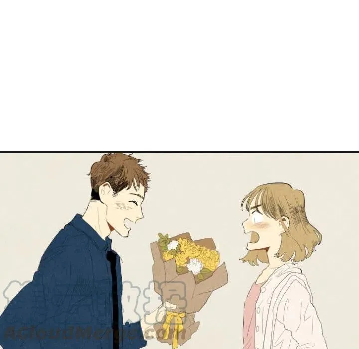 17 第53页