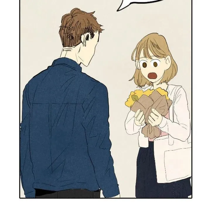 17 第55页