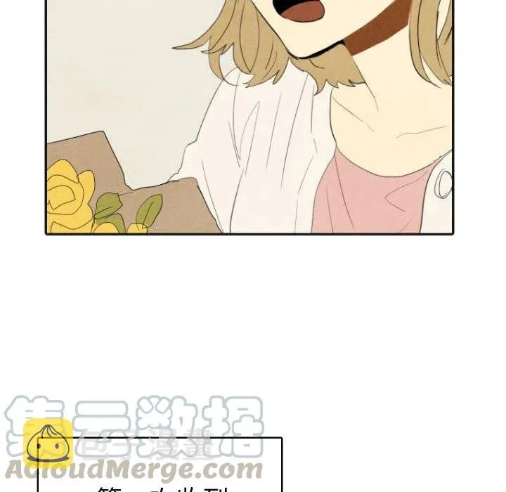 17 第61页
