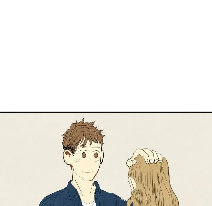 17 第63页