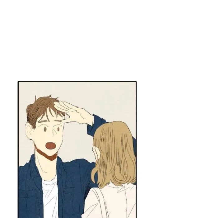 17 第68页