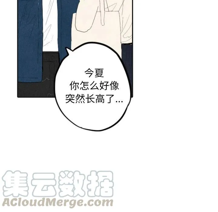 17 第69页