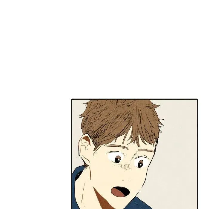 17 第71页