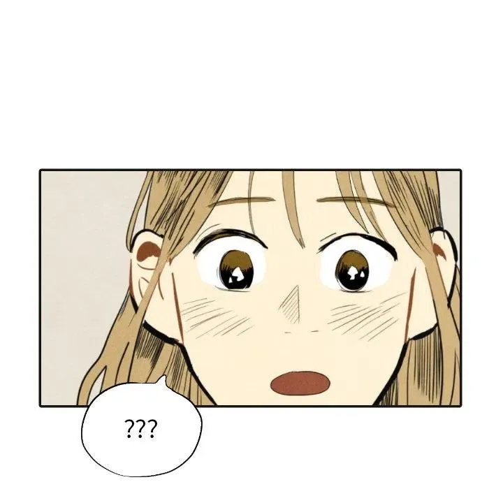 17 第80页