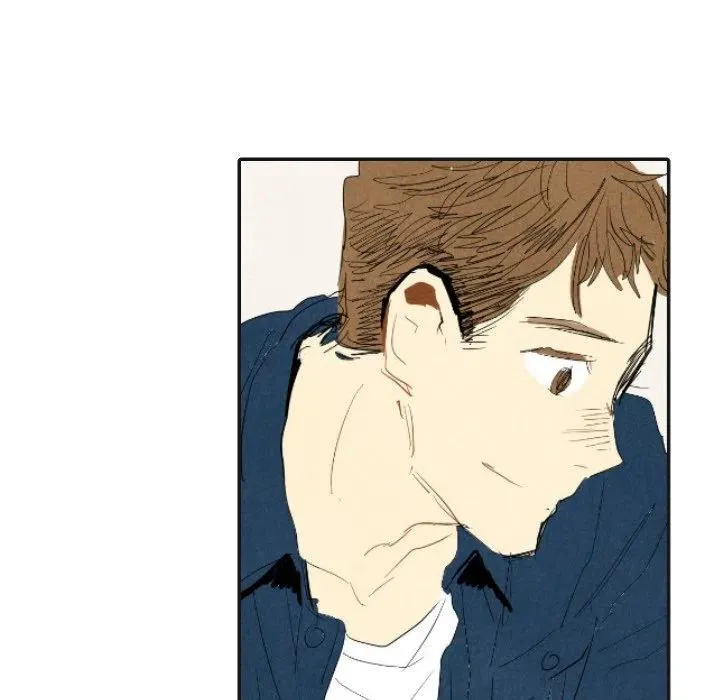 17 第88页