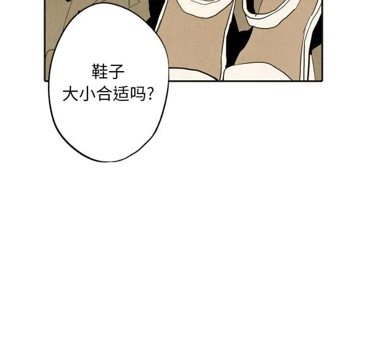 17 第91页