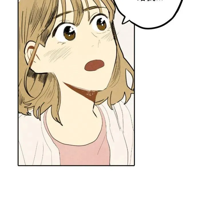 17 第95页