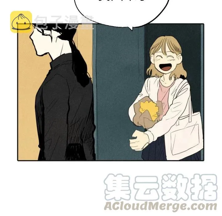 17 第113页