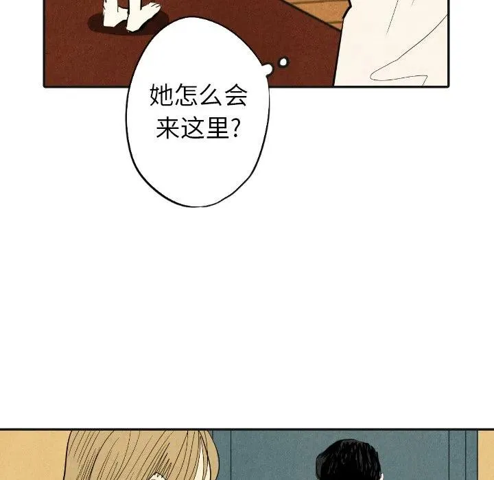 17 第120页