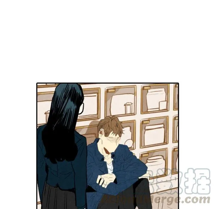 19 第13页