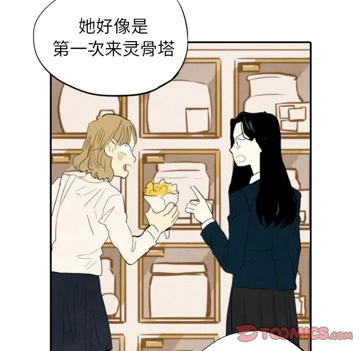 19 第40页
