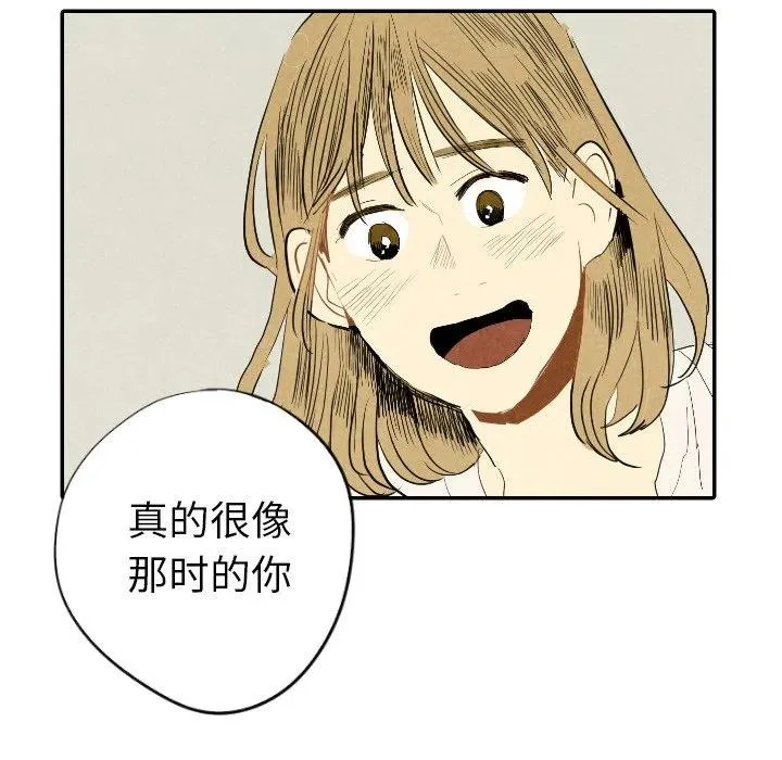 19 第43页