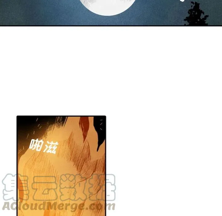 19 第61页