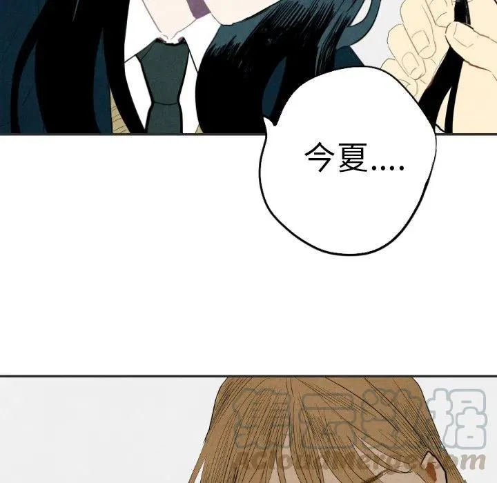 20 第65页