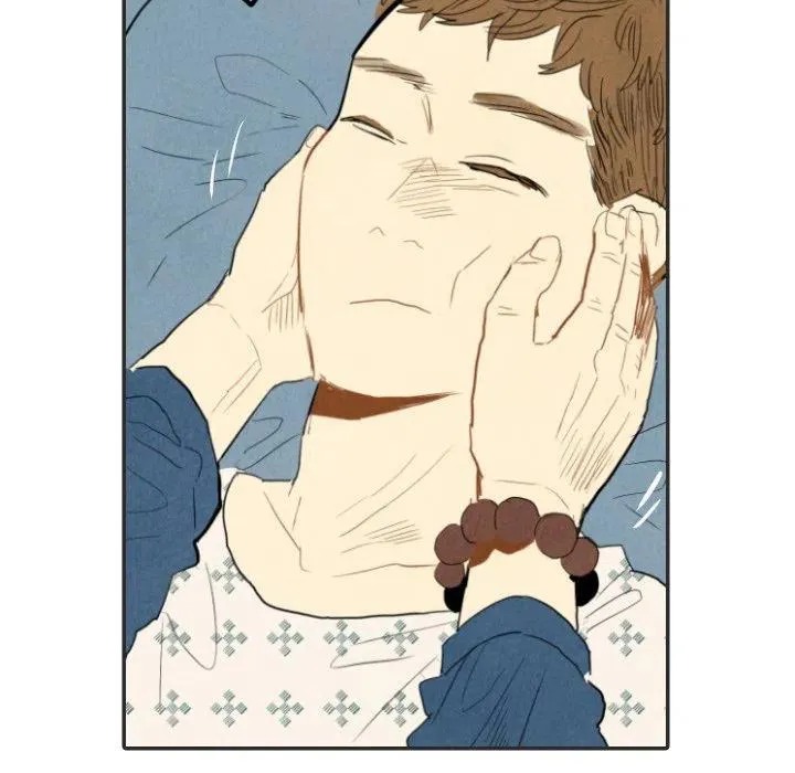 20 第71页