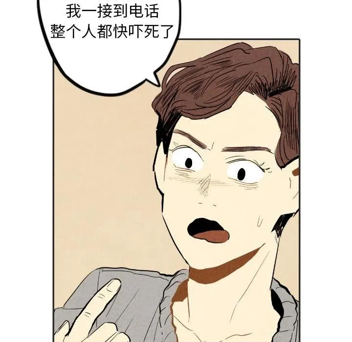 20 第82页