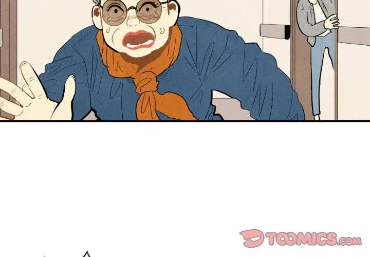 21 第2页