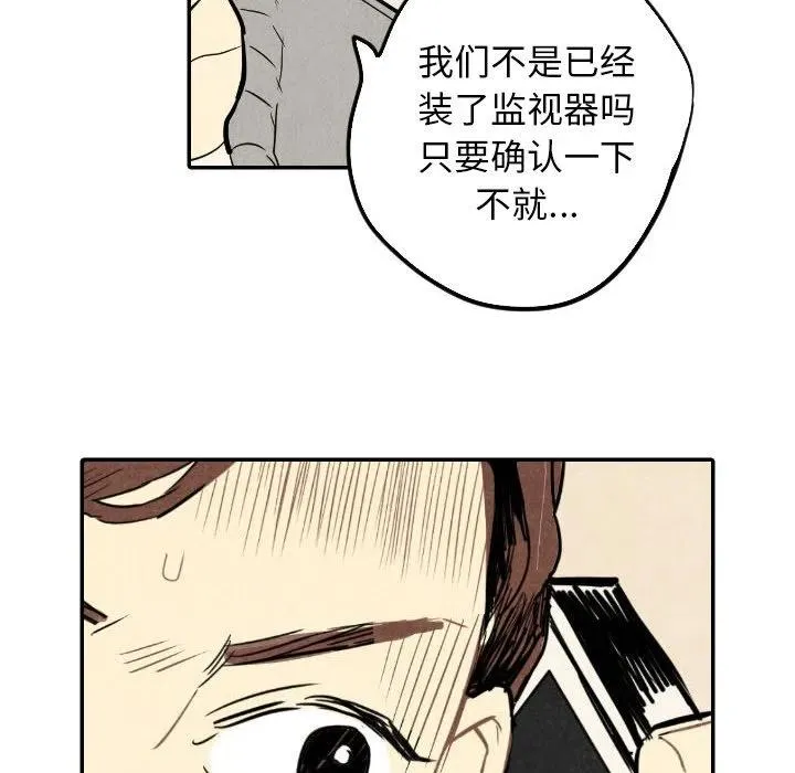 21 第10页