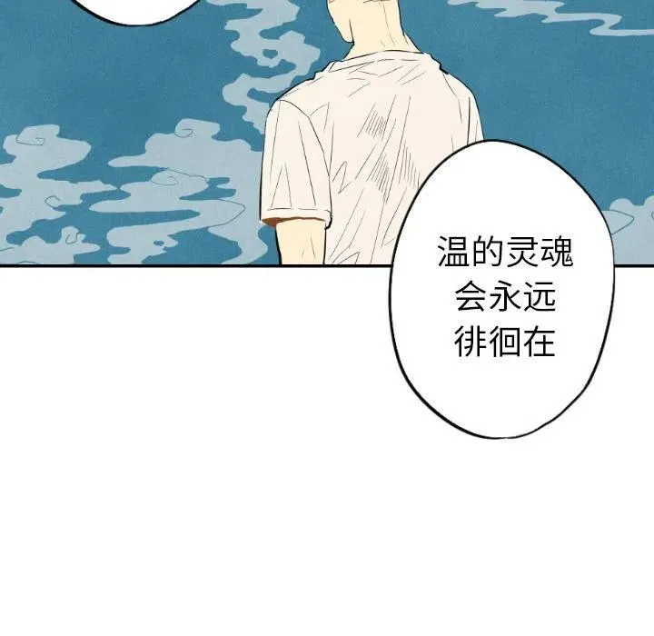 21 第55页