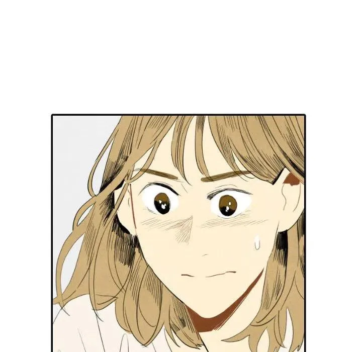21 第56页