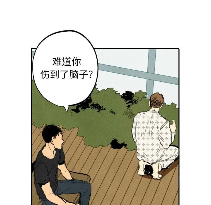 22 第31页