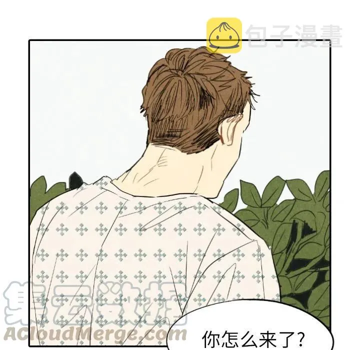 22 第41页