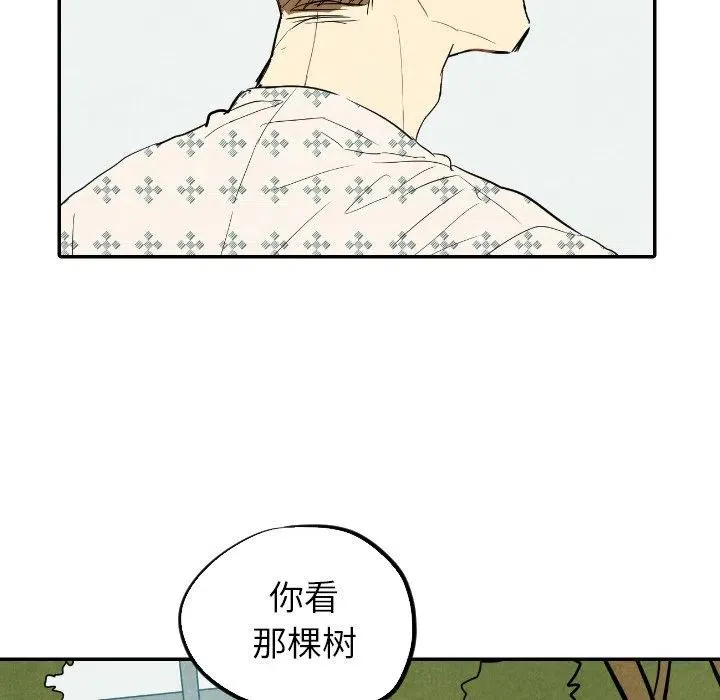 22 第60页