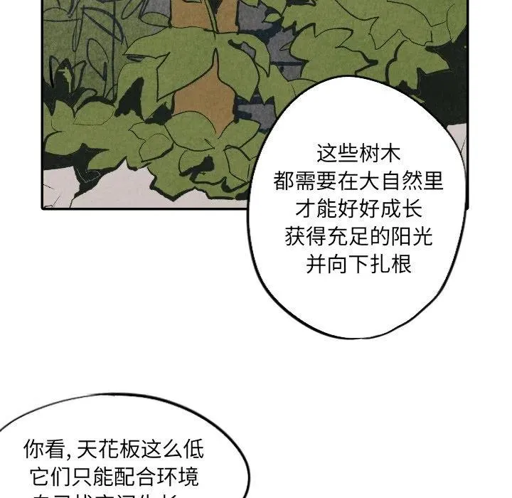 22 第68页