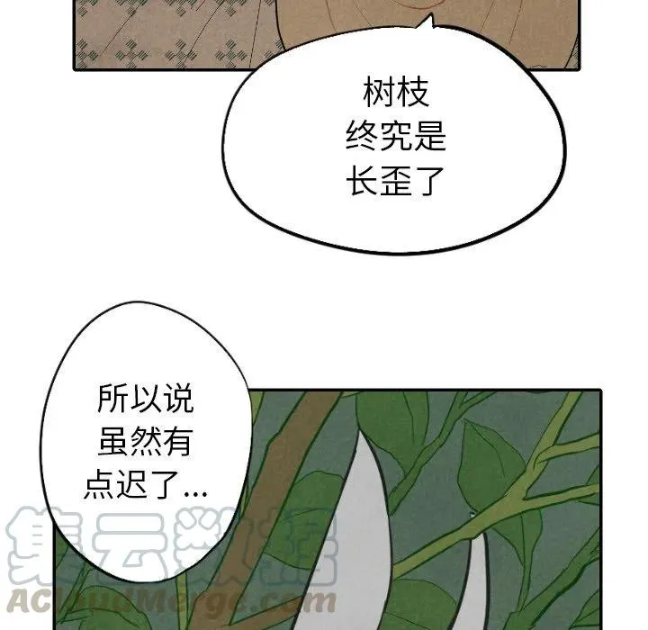 22 第77页