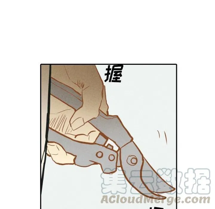 22 第85页