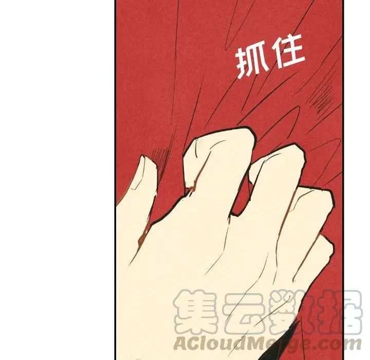 22 第113页