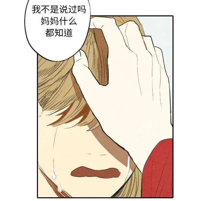 22 第116页