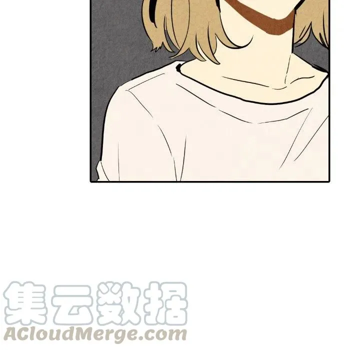 24 第85页