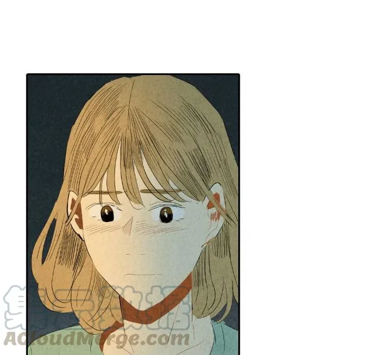 24 第117页