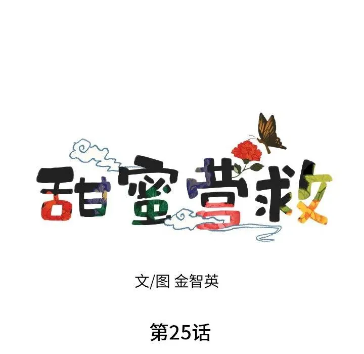 25 第11页