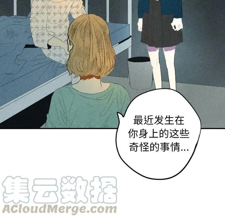 25 第13页