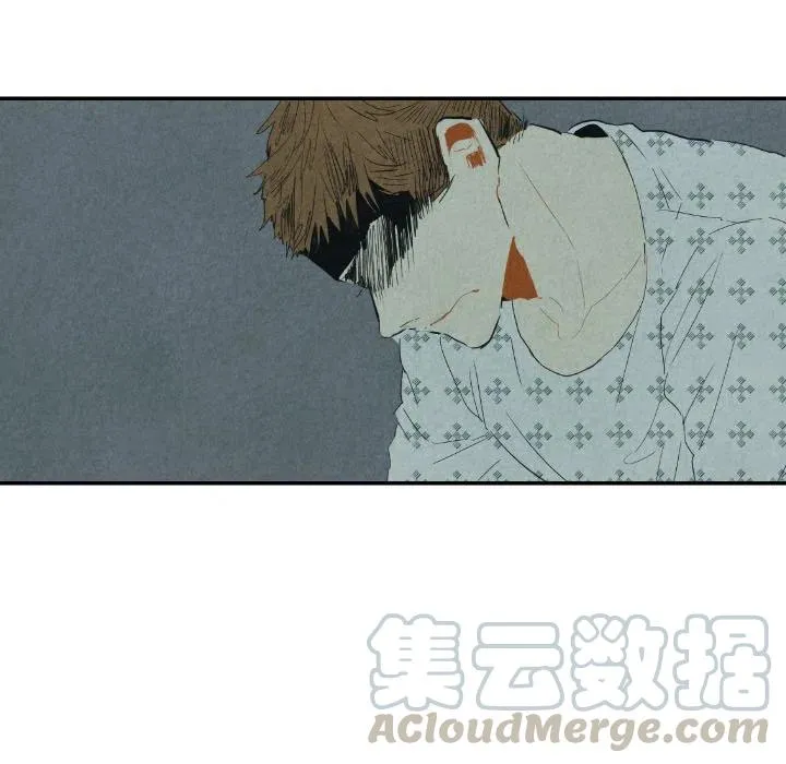 25 第53页