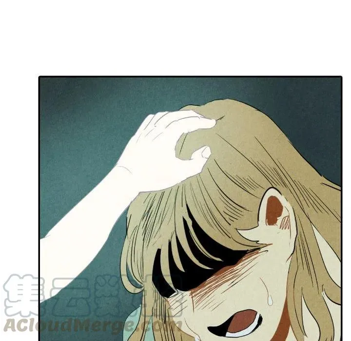 26 第41页