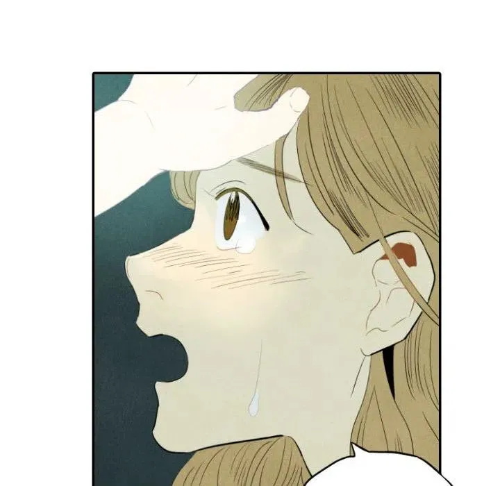26 第44页