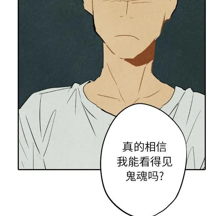 26 第75页