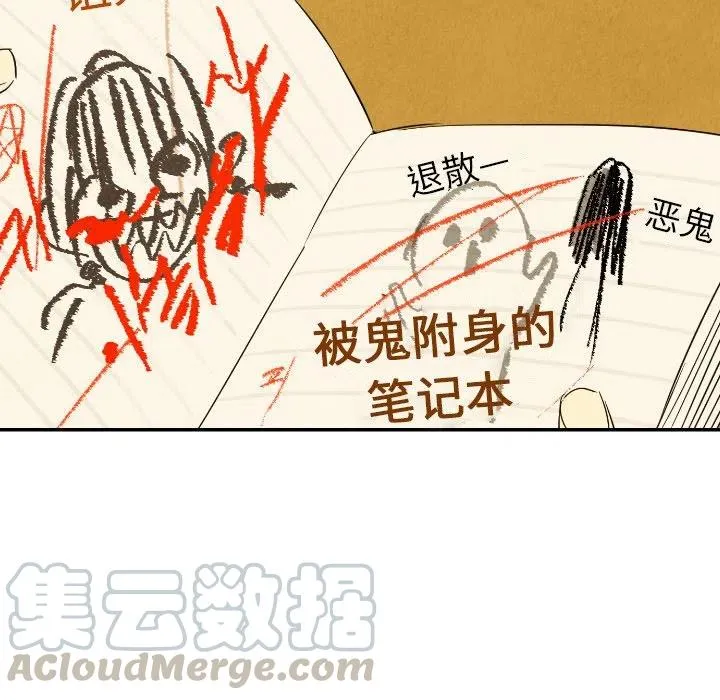 26 第113页